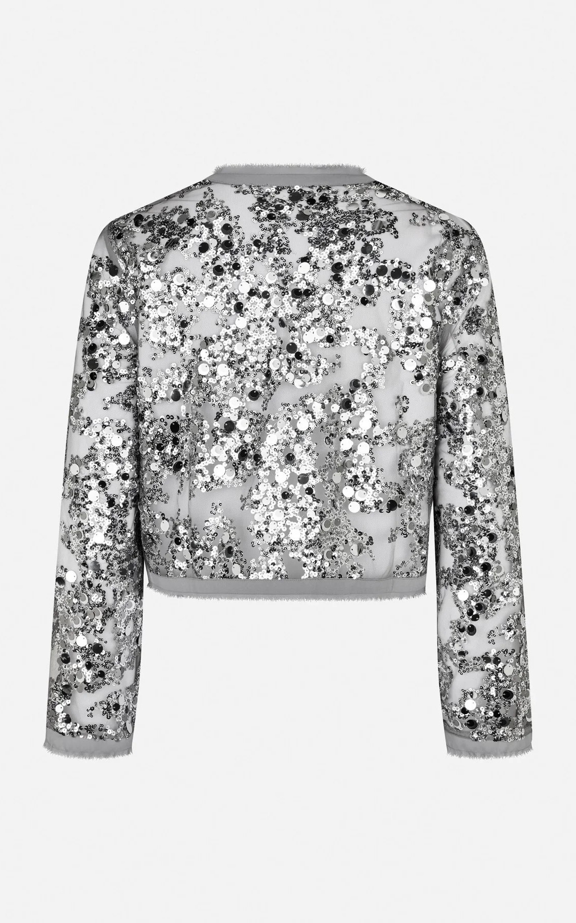 Zilver Blouse image
