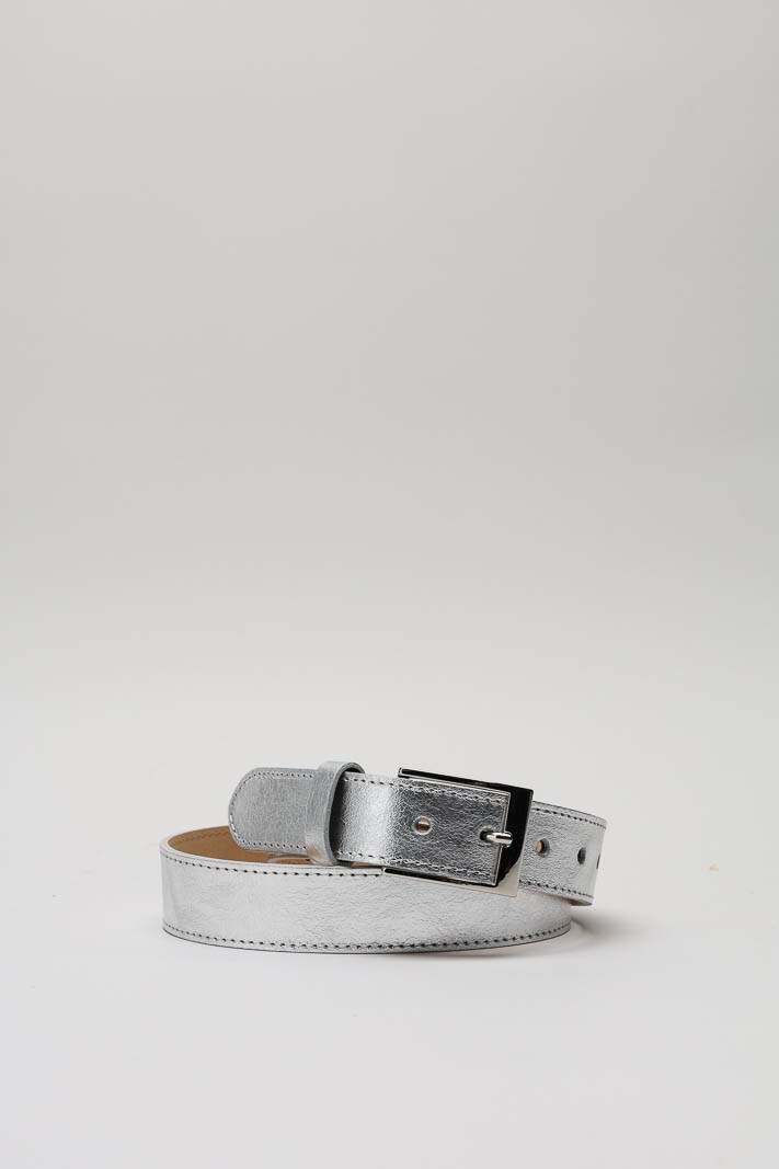Zilver Riemen