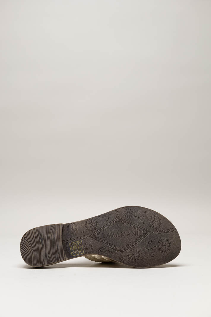 Goud Slipper image