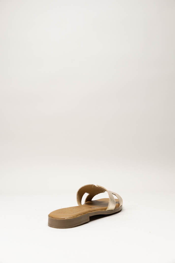 Goud Slipper image