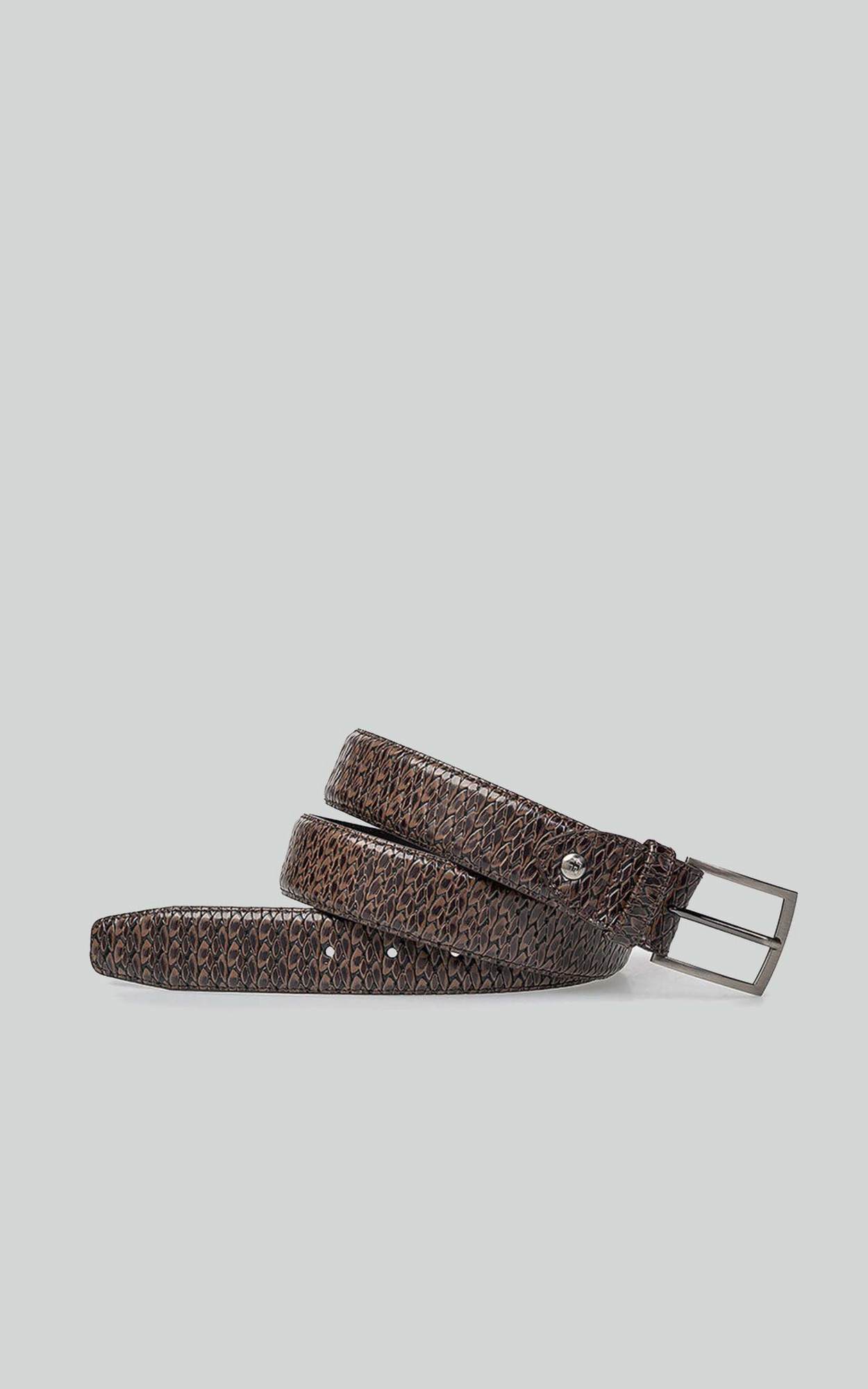 Bruin Riem