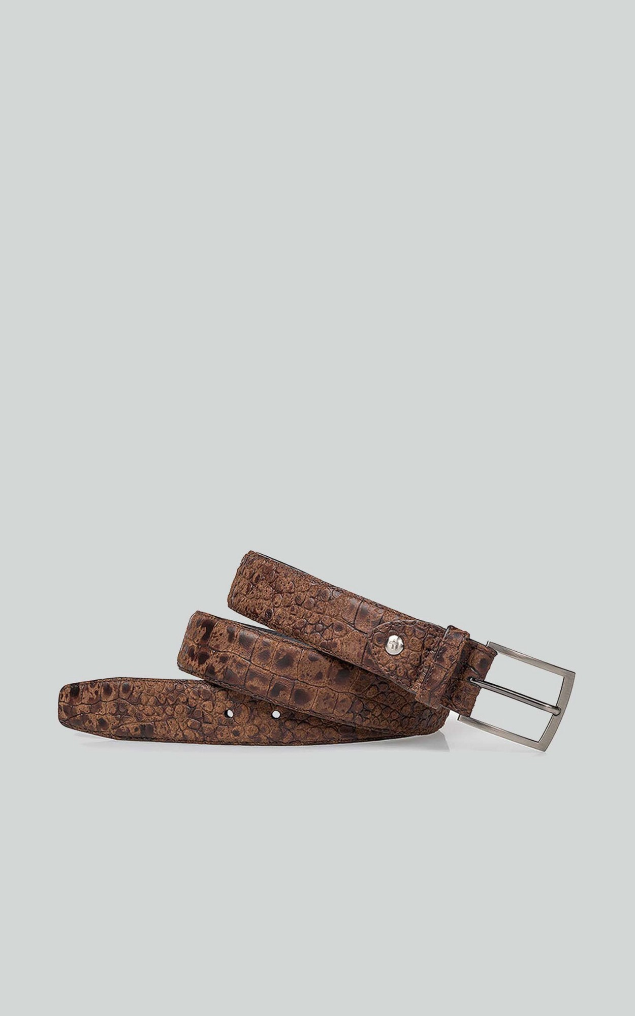 Bruin Riem