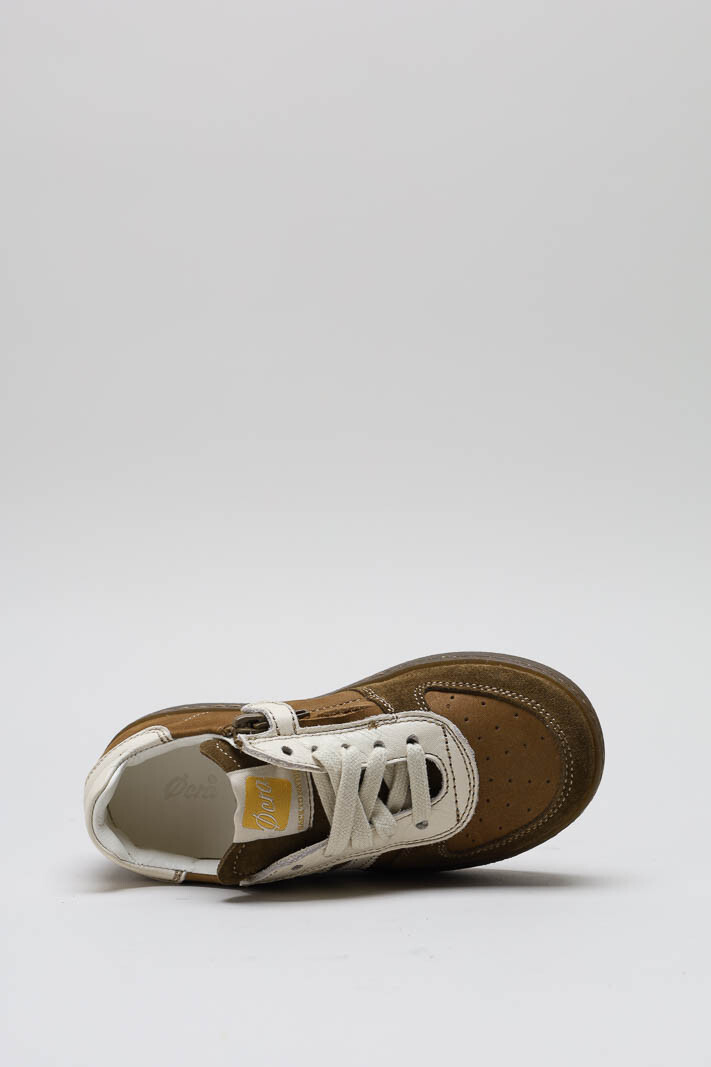 zoom in on Bruin Sneaker image Bruin Sneaker image