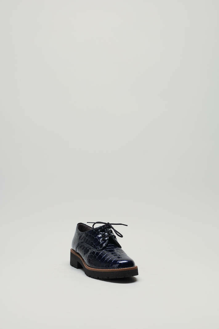 zoom in on Blauw Veterschoen image Blauw Veterschoen image
