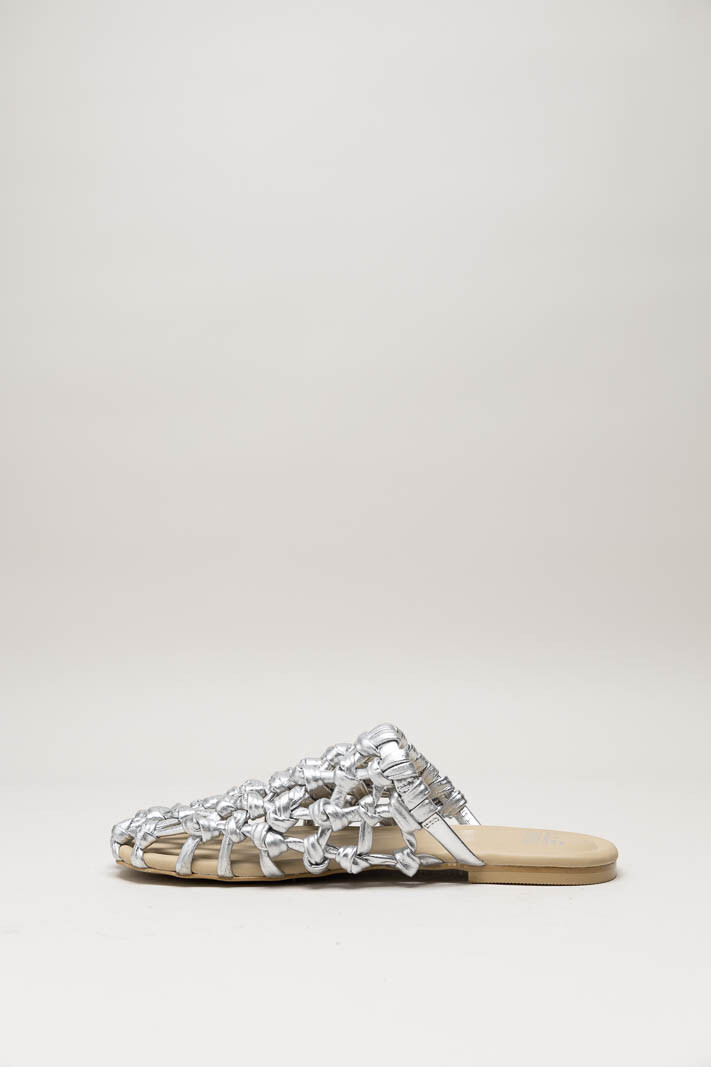 Zilver Muiltje image