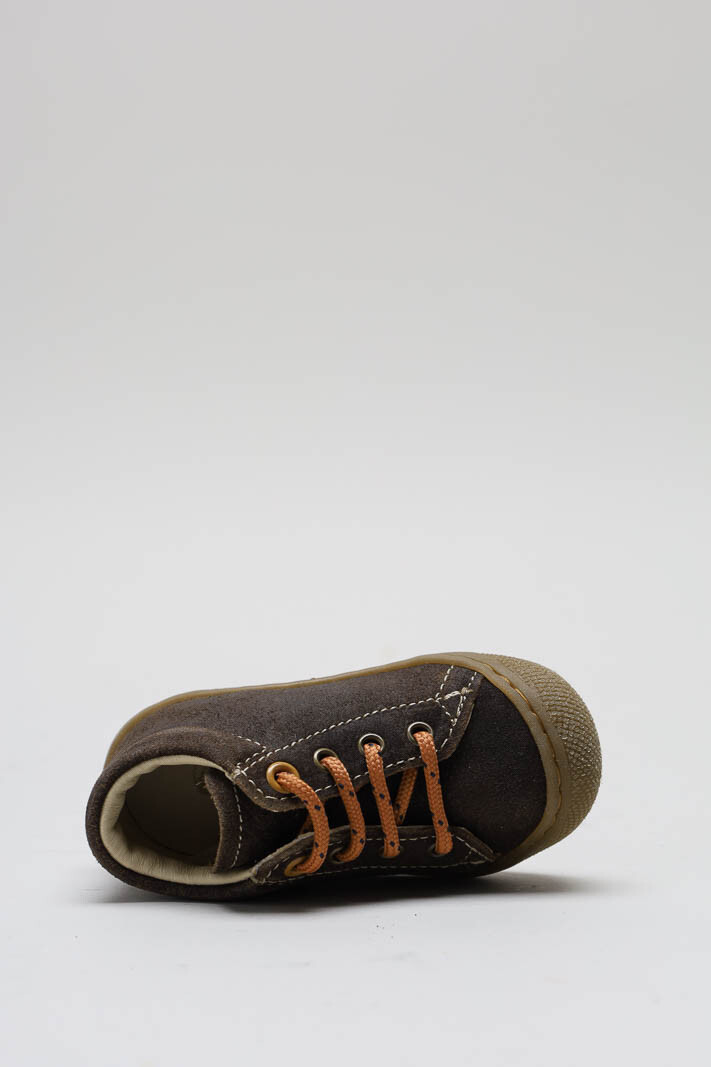 zoom in on Donkerbruin Prestapper image Donkerbruin Prestapper image