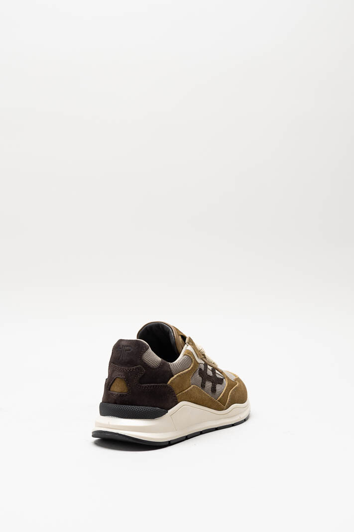 Bruin Sneaker image
