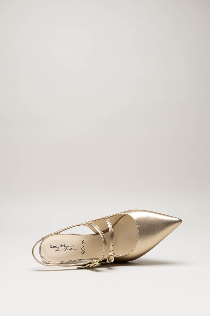 Goud Pump image