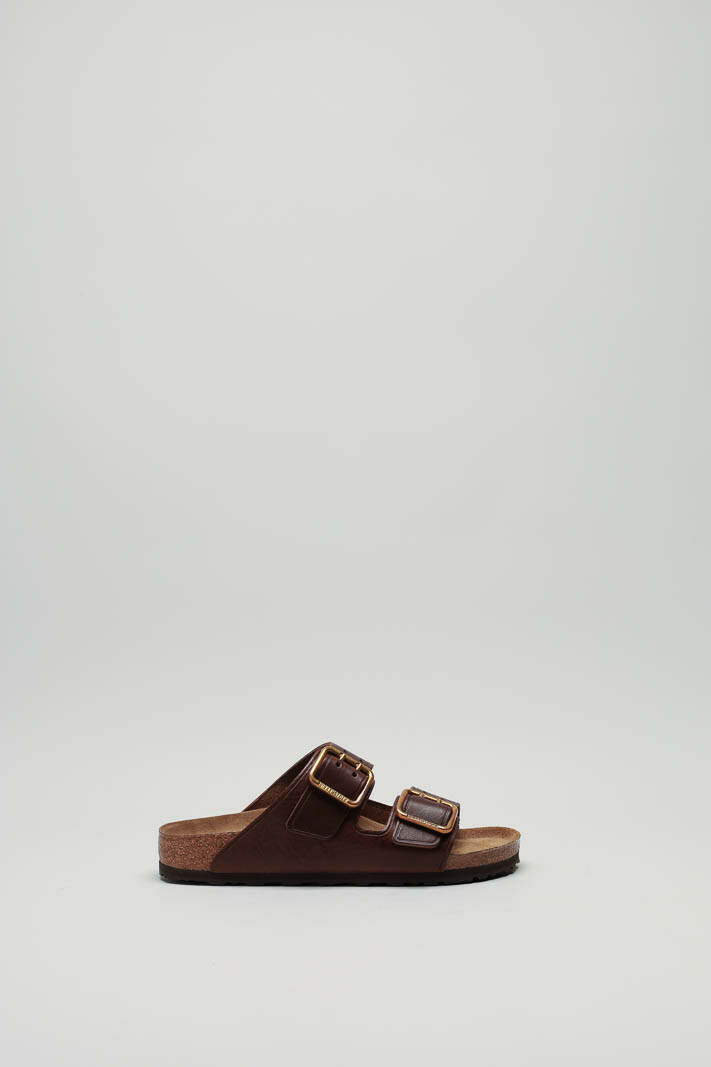 Bruin Slipper