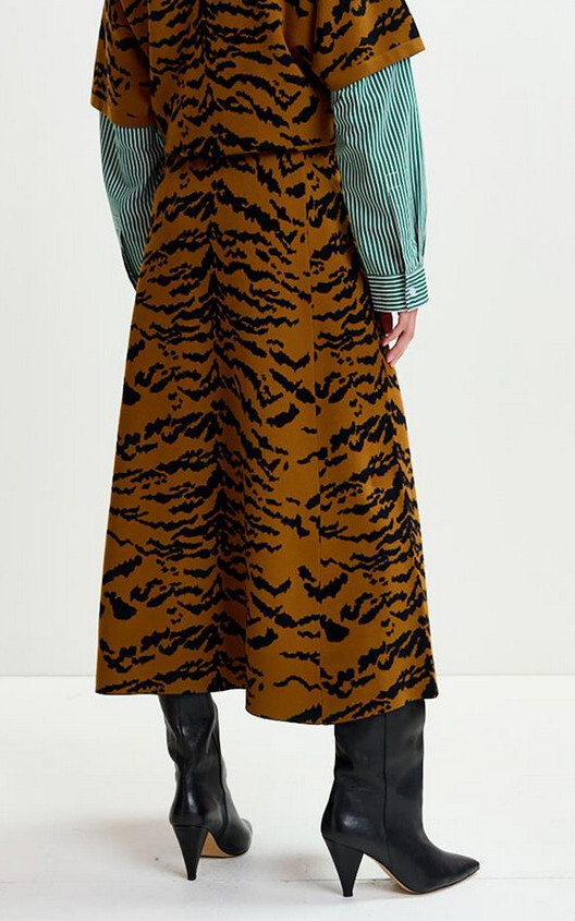 zoom in on Camel Rok image Camel Rok image