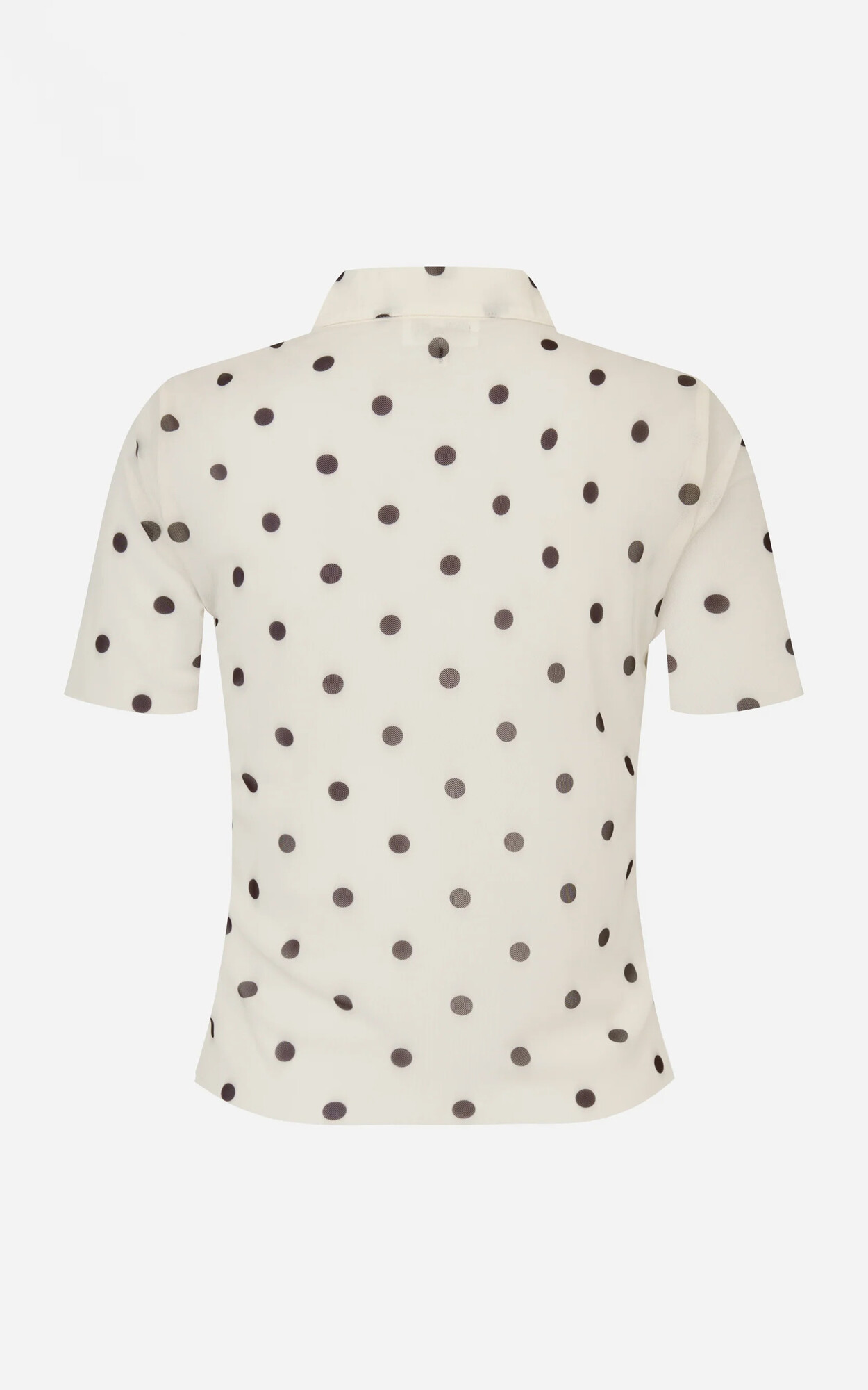 Ecru T-shirt/top image