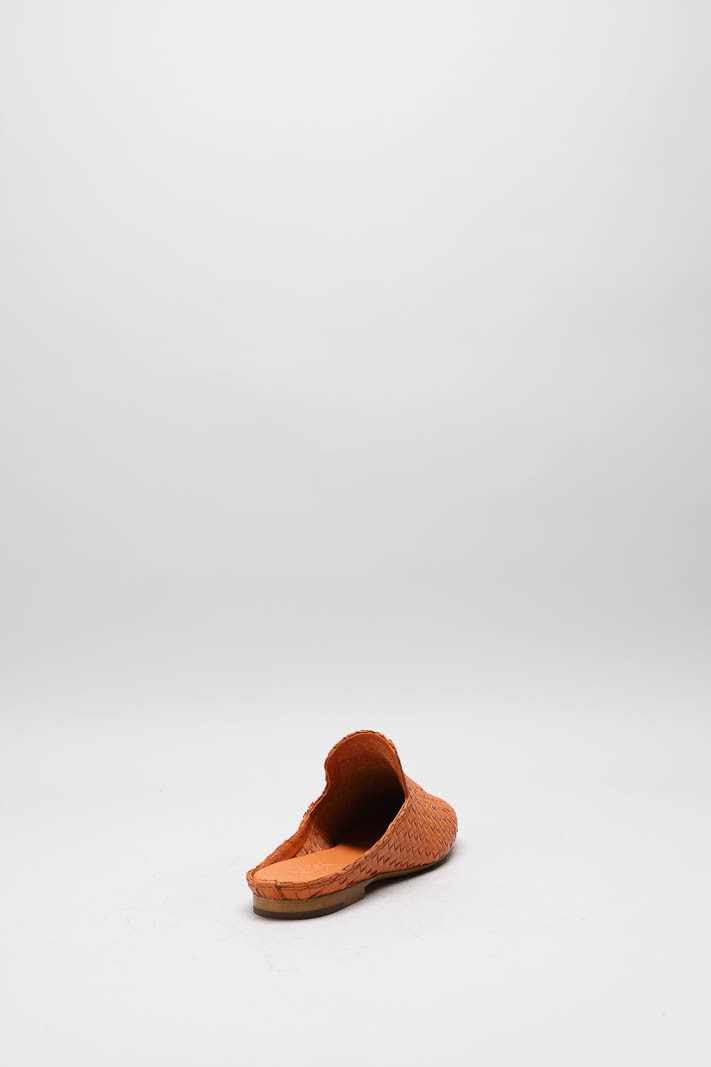 zoom in on Oranje Muiltje image Oranje Muiltje image