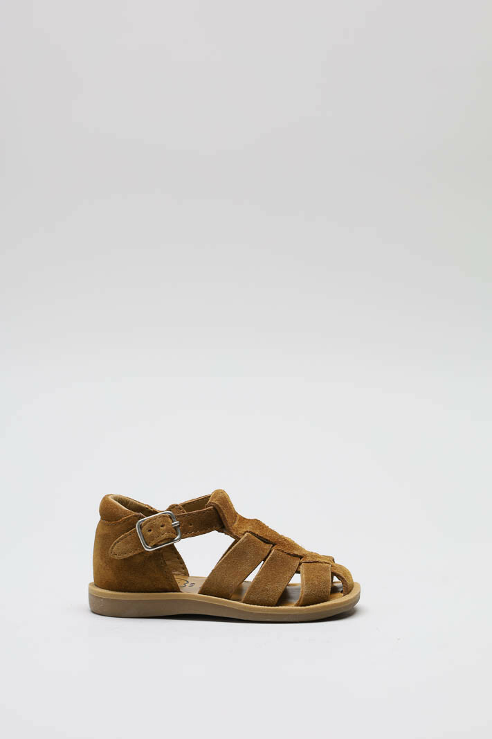 CAMEL