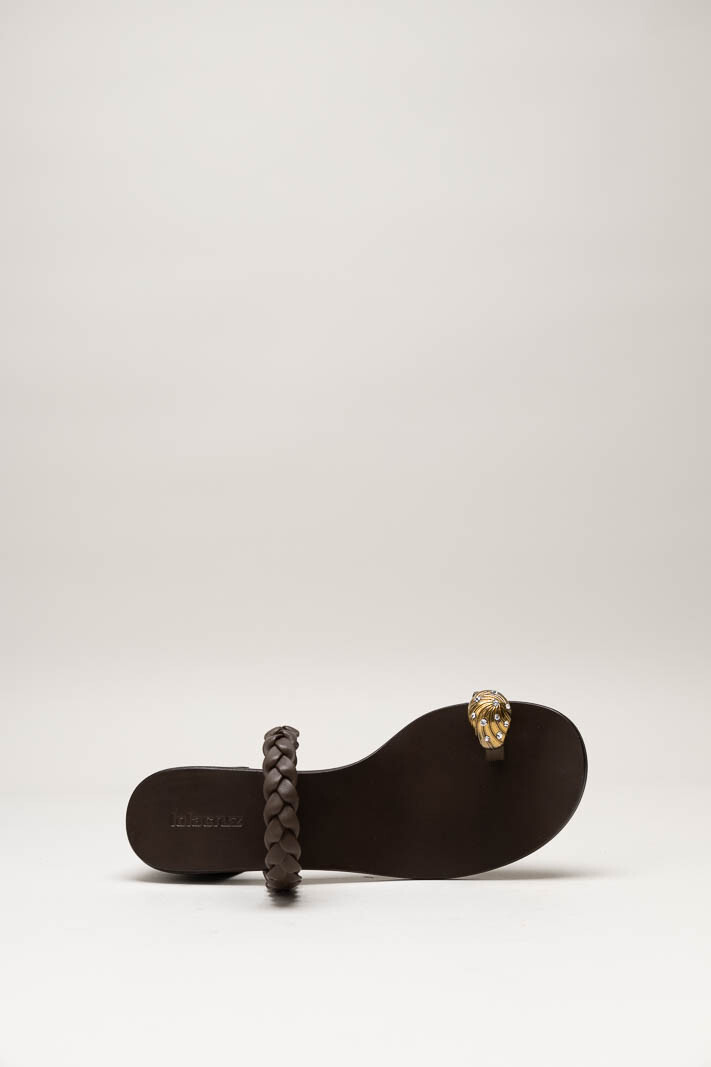 Donkerbruin Muiltje image