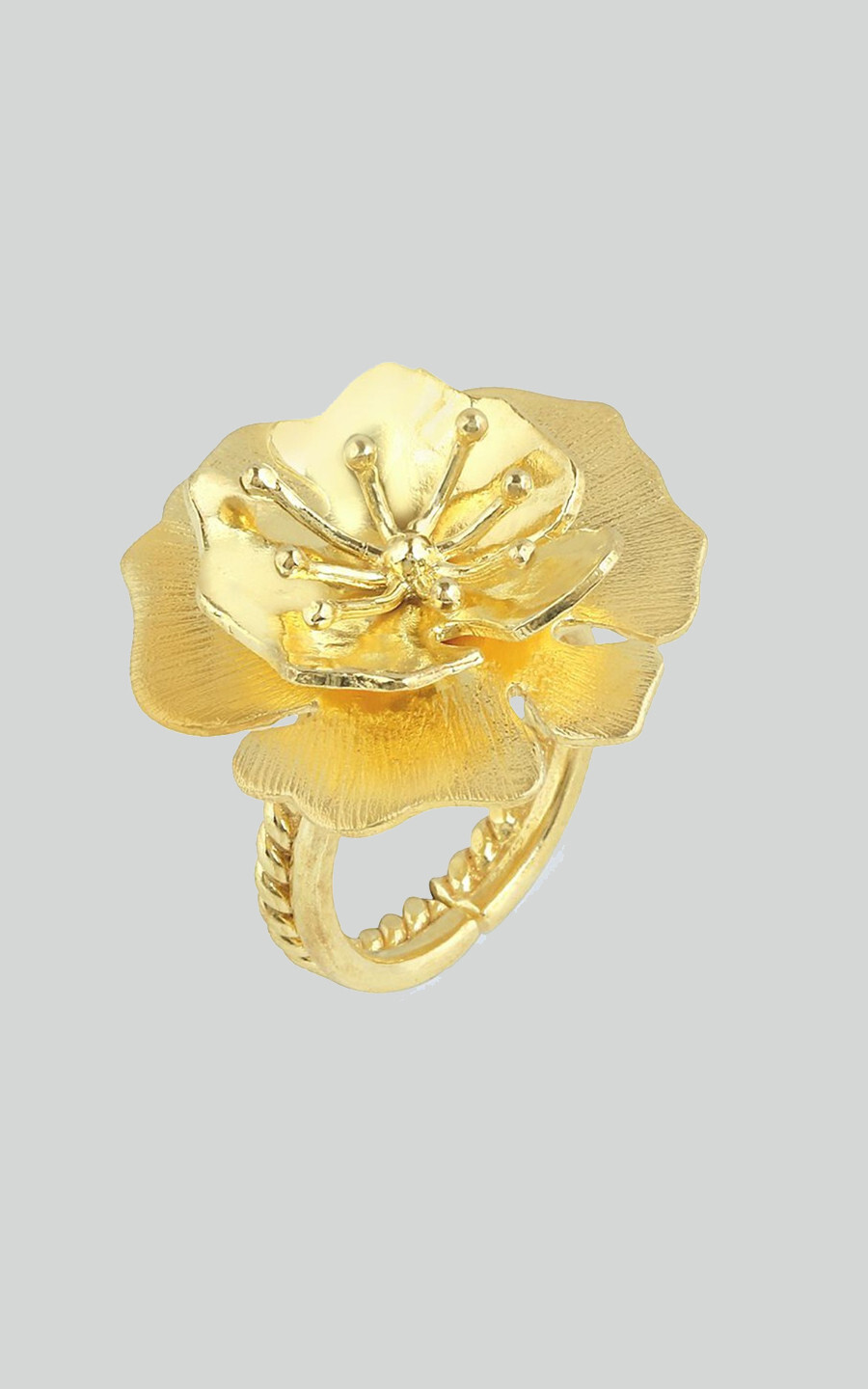 Goud Ring