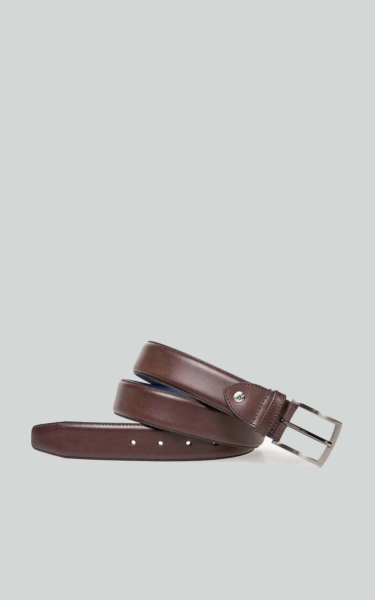 Bruin Riem