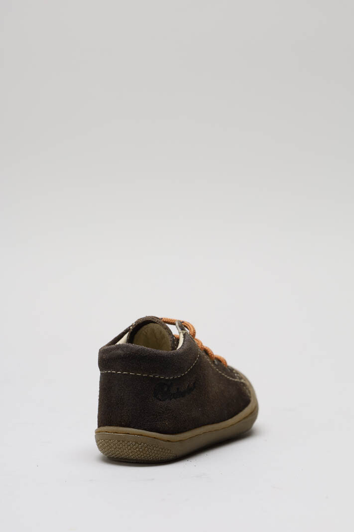 zoom in on Donkerbruin Prestapper image Donkerbruin Prestapper image