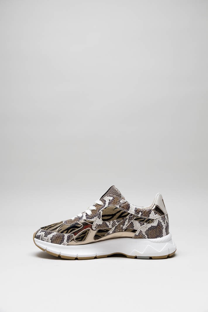 Bruin Sneaker image