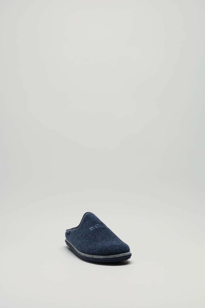 zoom in on Blauw Pantoffel image Blauw Pantoffel image
