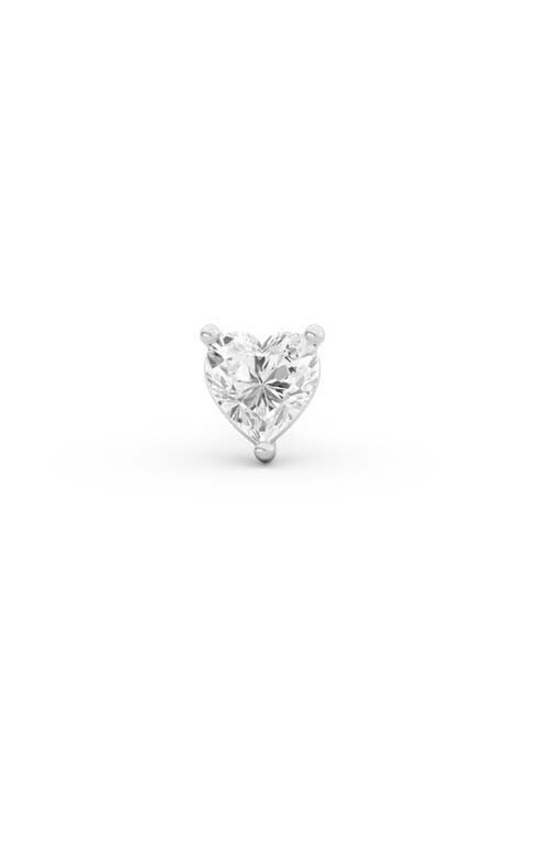 Zilver Oorbellen