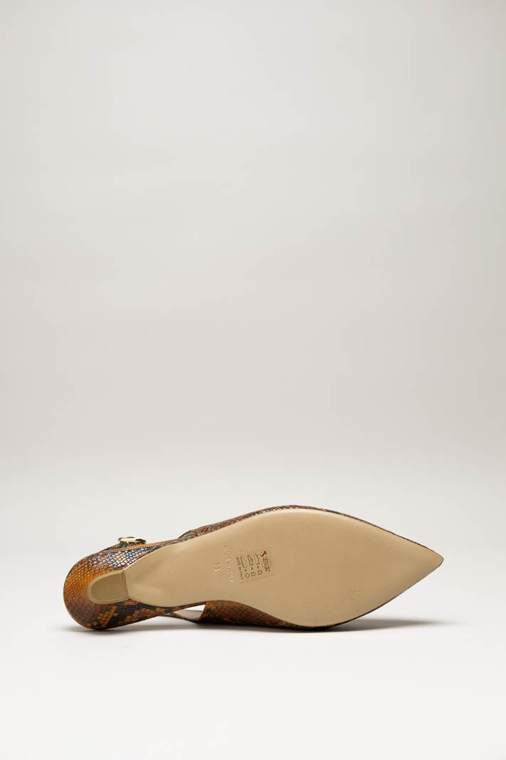 Roestbruin Ballerina image