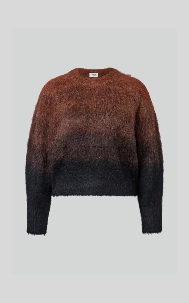 Bruin Trui image