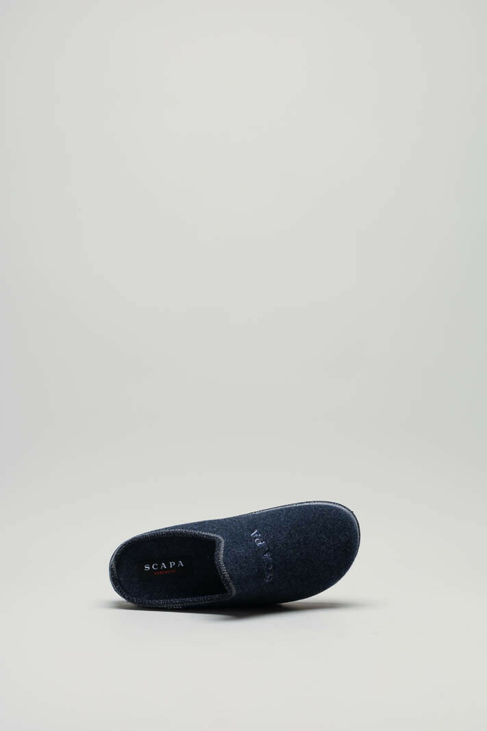 zoom in on Blauw Pantoffel image Blauw Pantoffel image
