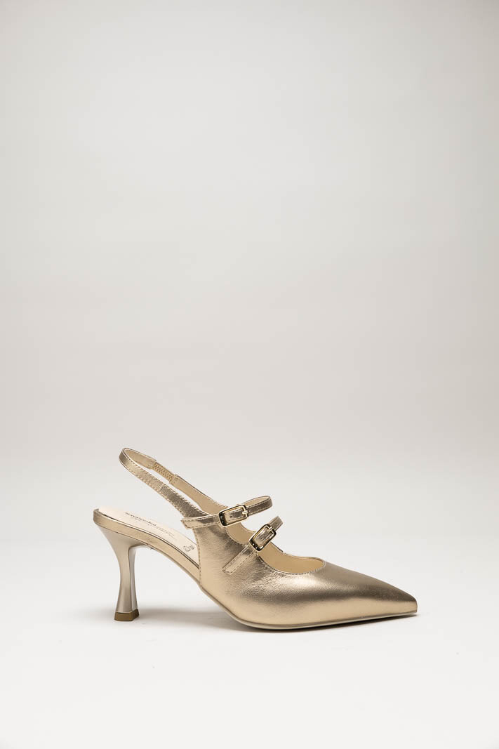 Goud Pump