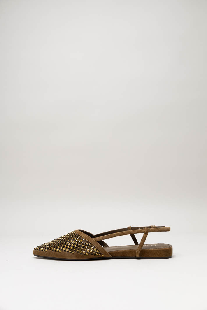 Bruin Ballerina image