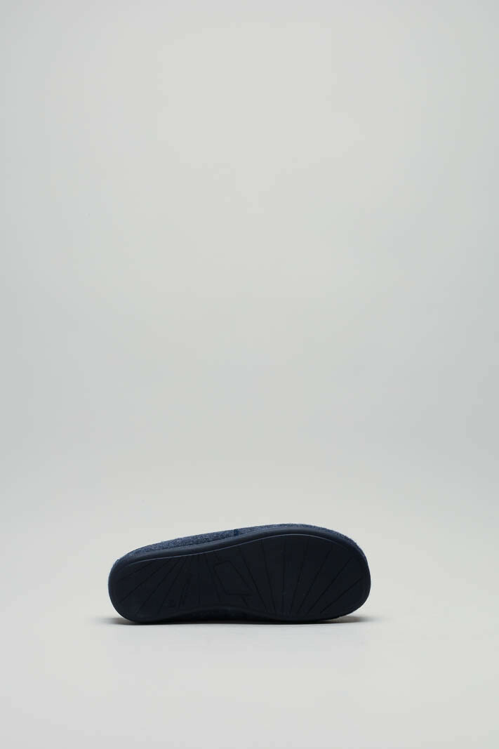 zoom in on Blauw Pantoffel image Blauw Pantoffel image