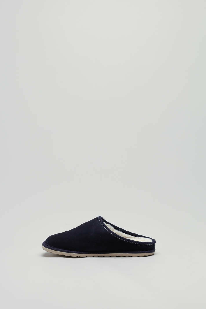 zoom in on Blauw Pantoffel image Blauw Pantoffel image