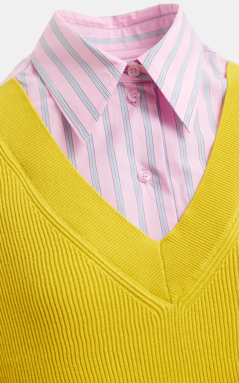 Roze Hemd image