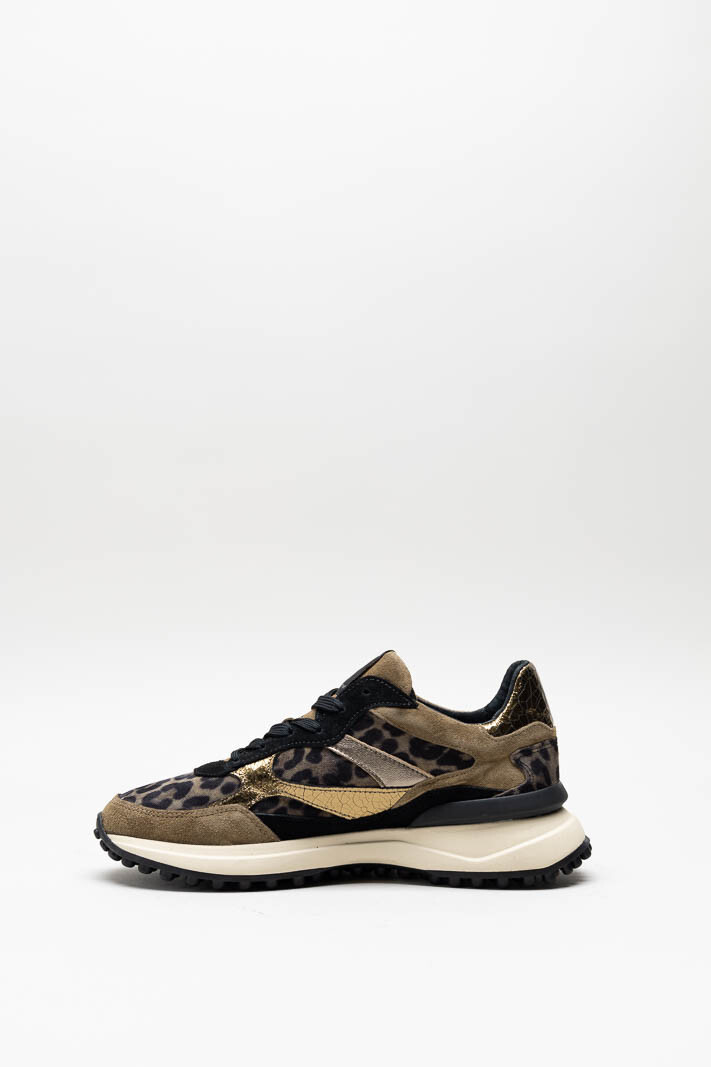 Bruin Sneaker image