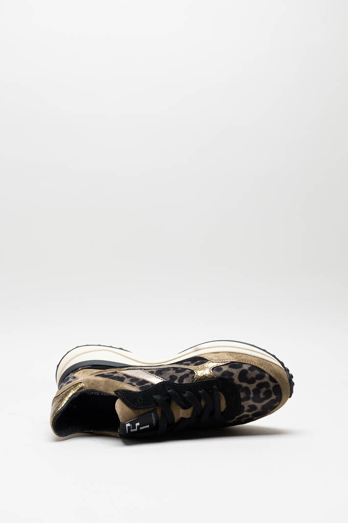 Bruin Sneaker image