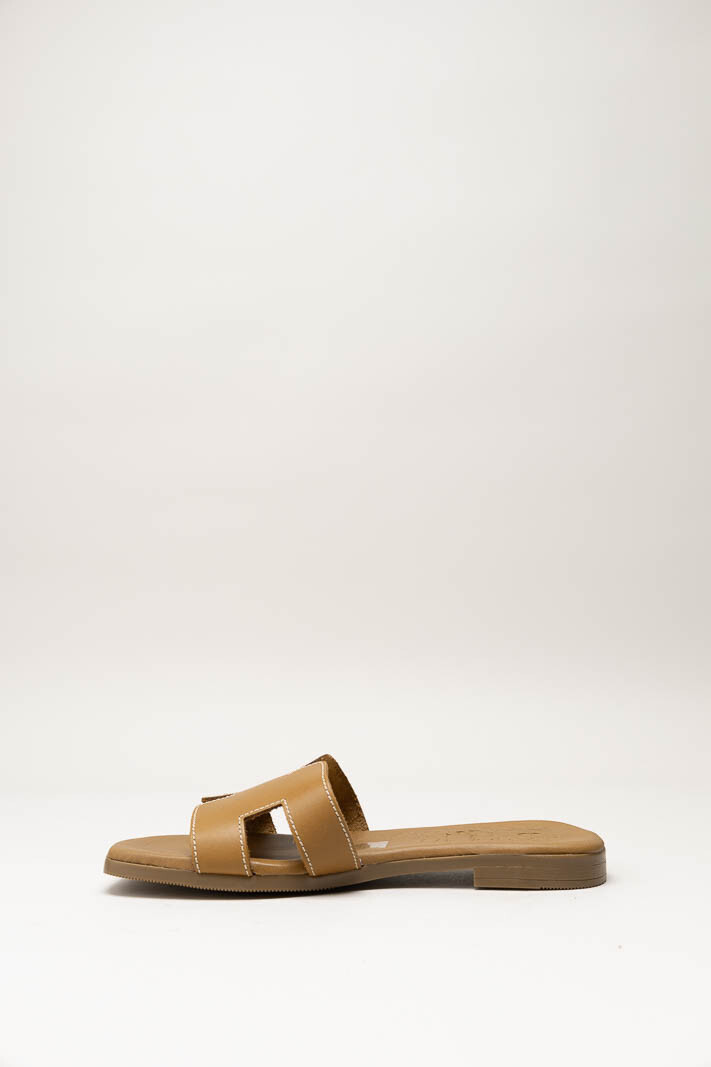 Bruin Slipper image