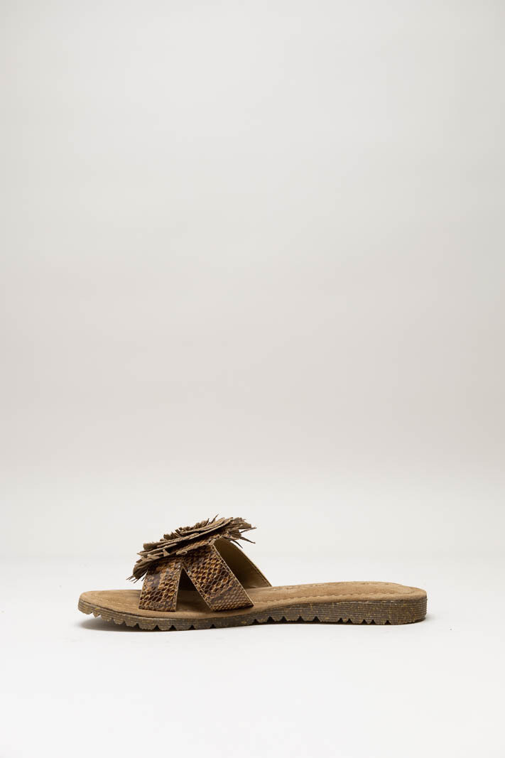 Bruin Slipper image