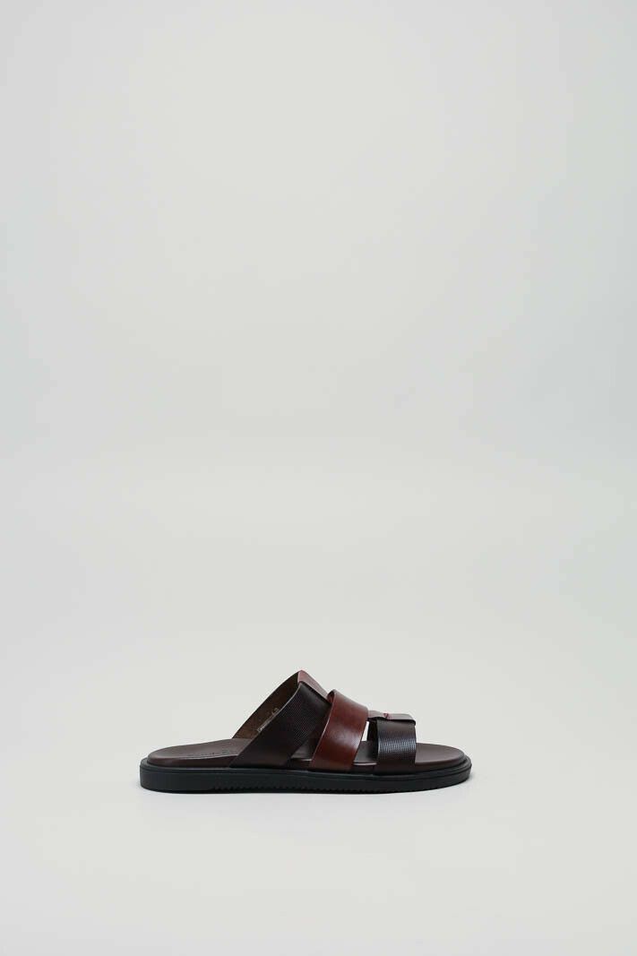 Bruin Slipper