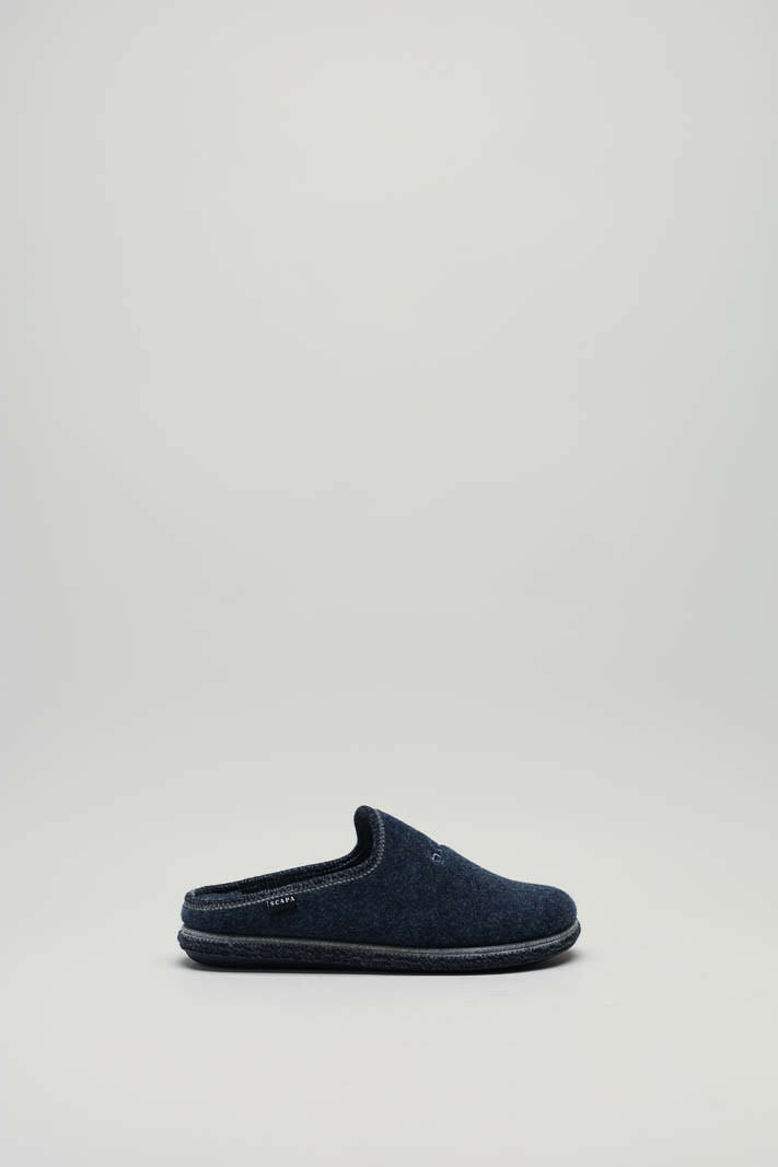 zoom in on Blauw Pantoffel image Blauw Pantoffel image