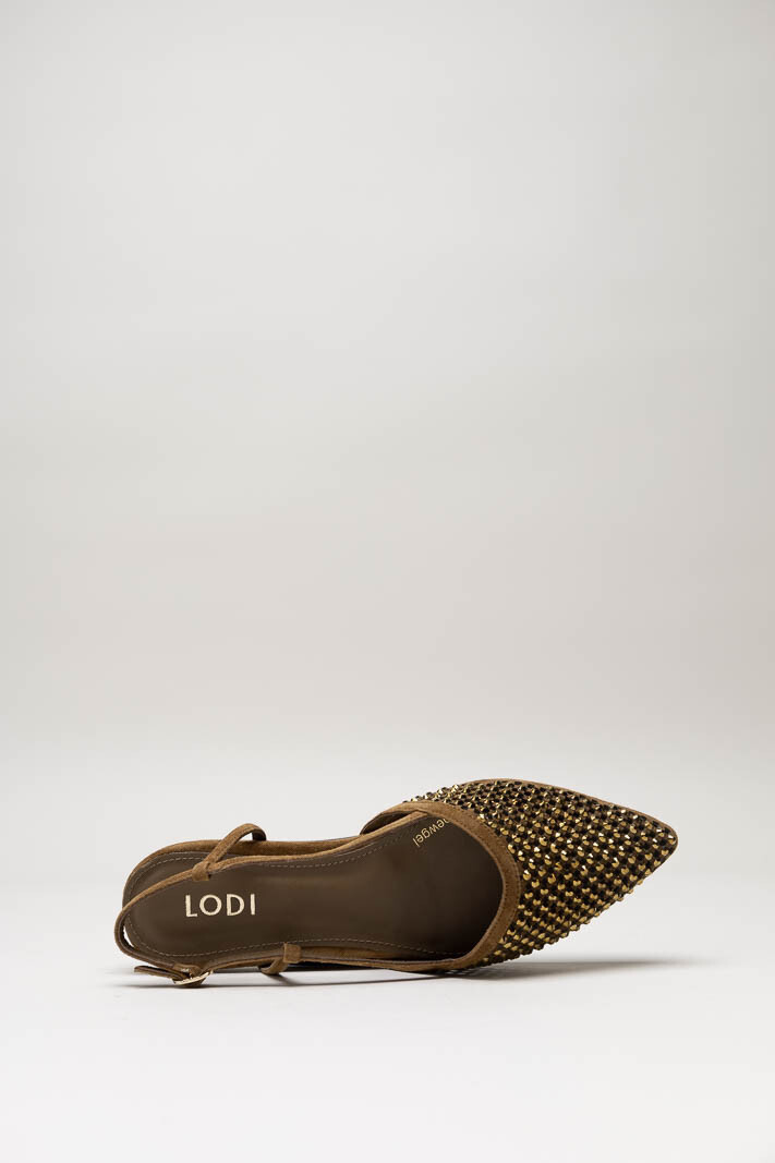 Bruin Ballerina image