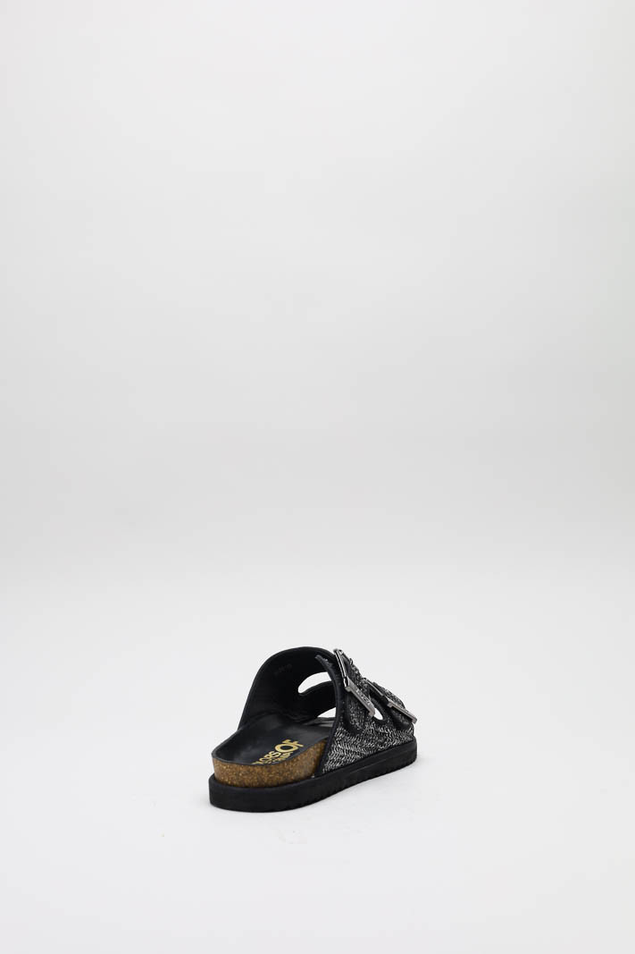 zoom in on Platina Slipper image Platina Slipper image