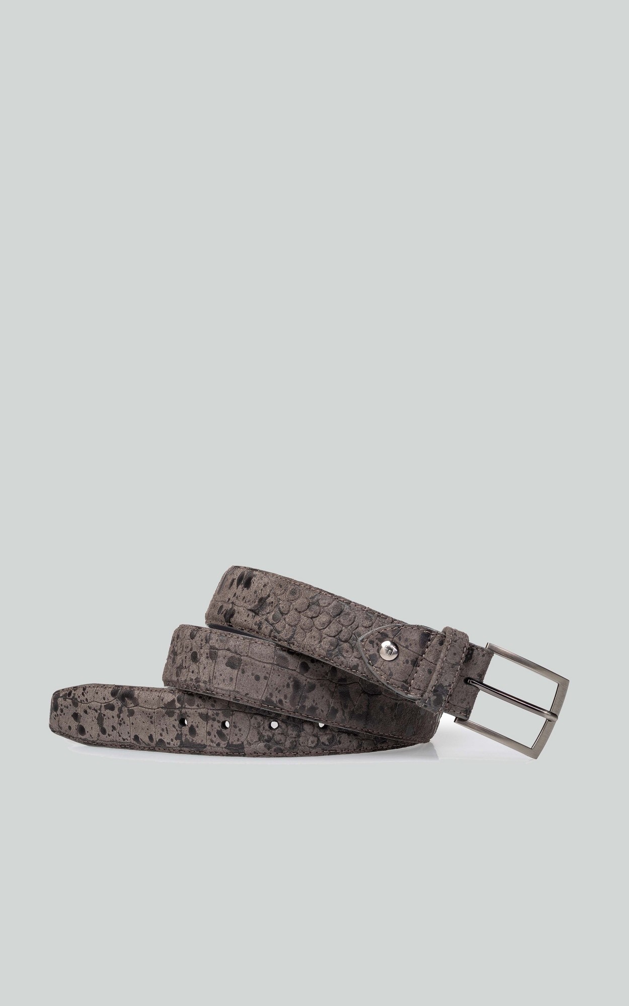 Bruin Riem
