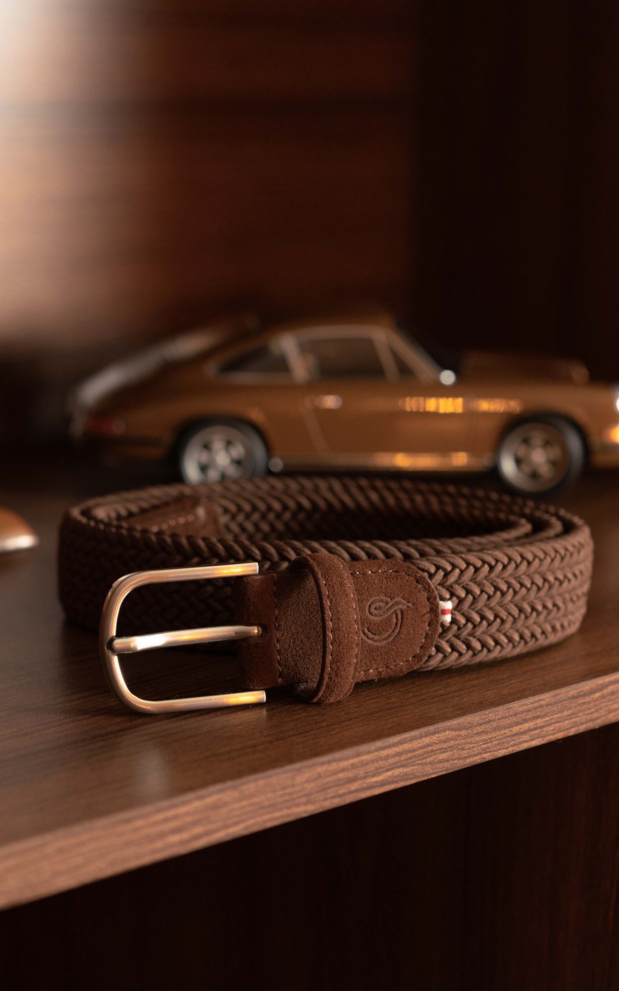 Bruin Riem