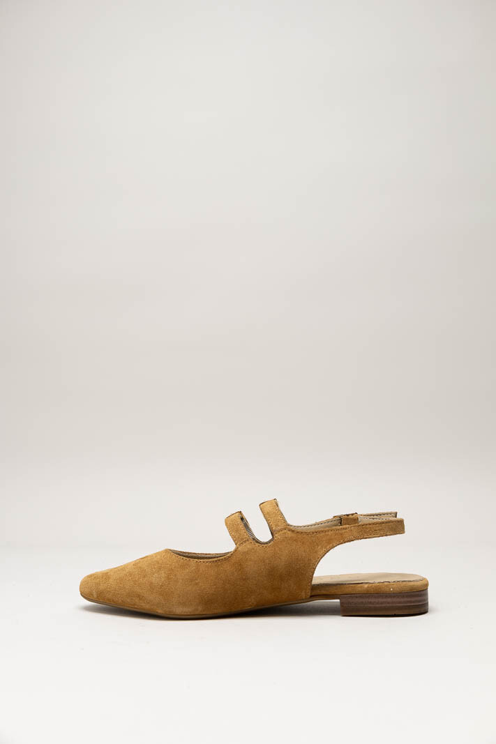 Camel Ballerina image