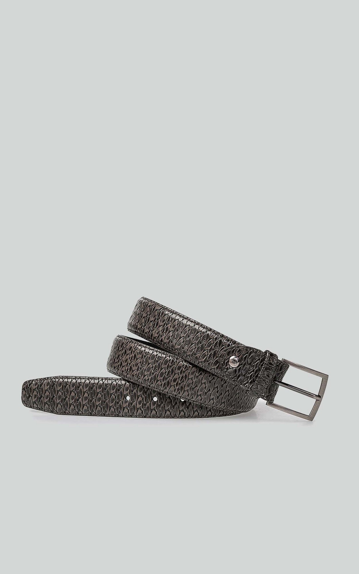 Grijs Riem