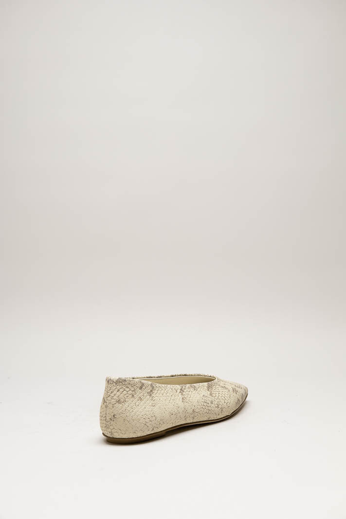 Greige Ballerina image