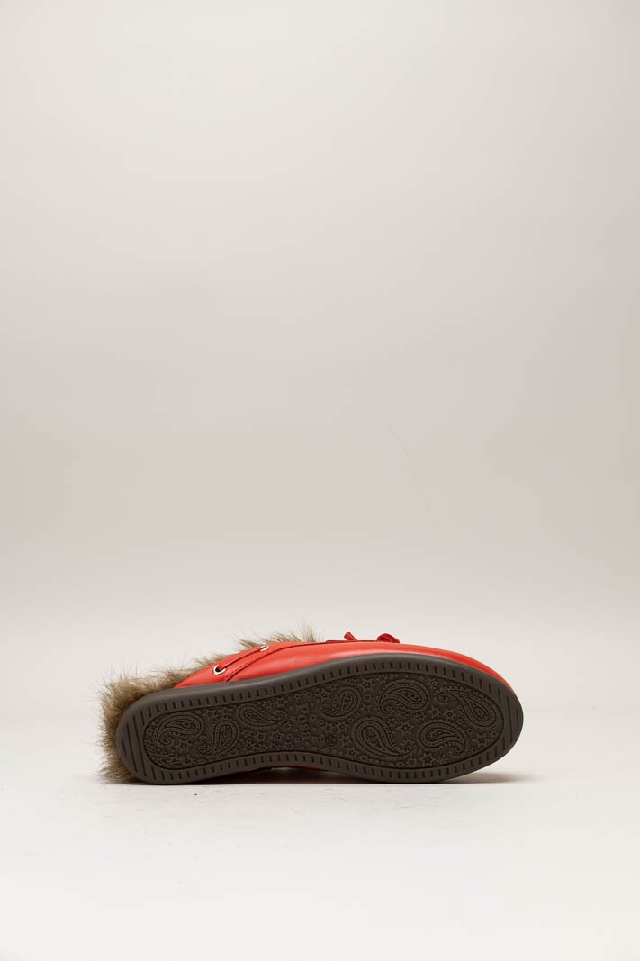 Rood Muiltje image