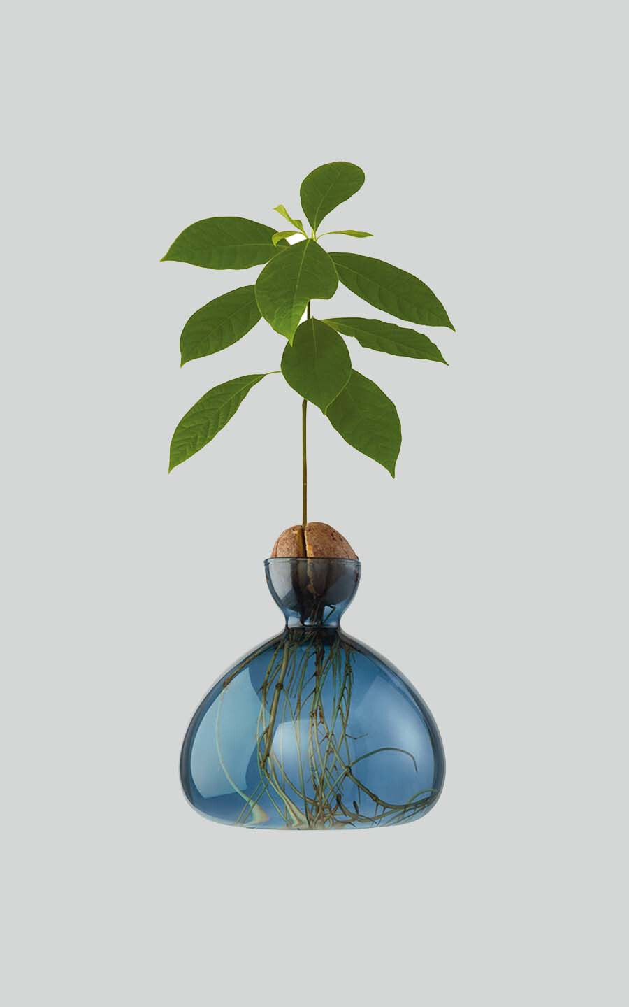 Blauw Woonaccessoires