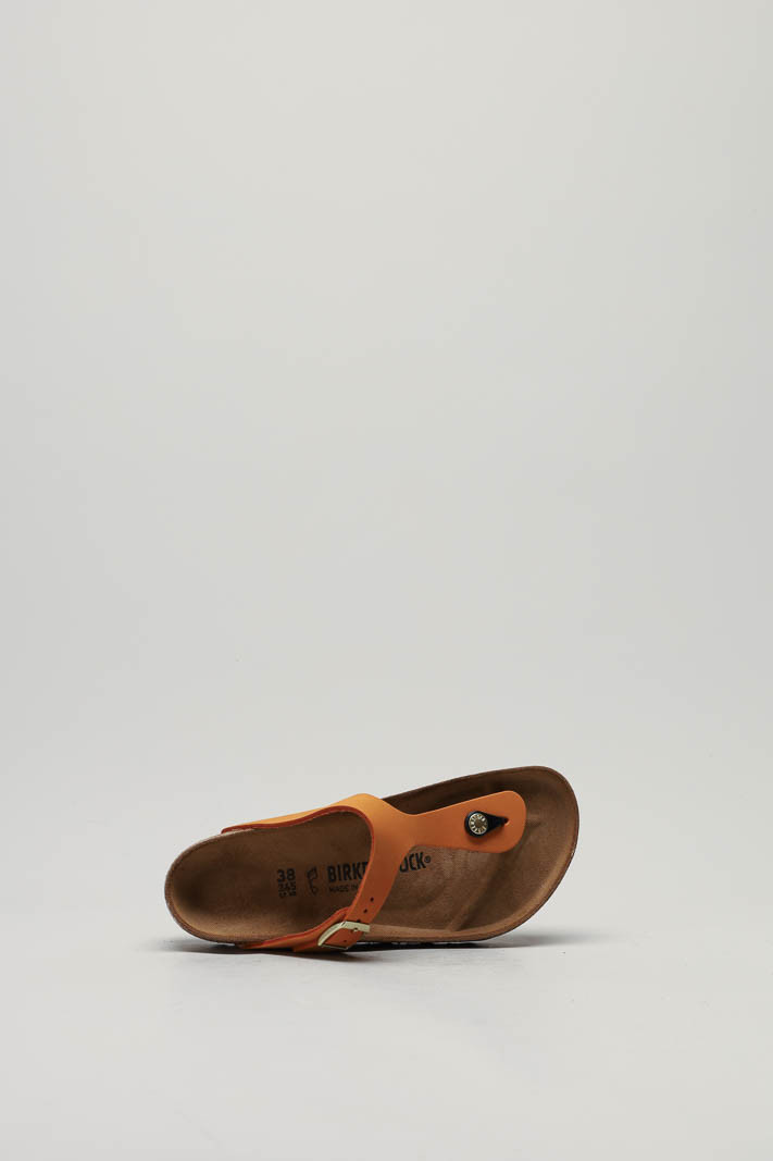 zoom in on Oranje Slipper image Oranje Slipper image