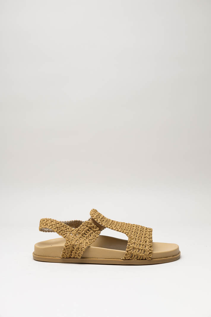 CAMEL