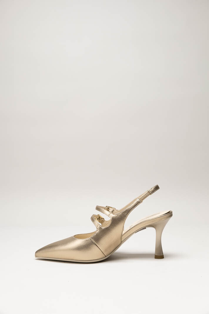 Goud Pump image